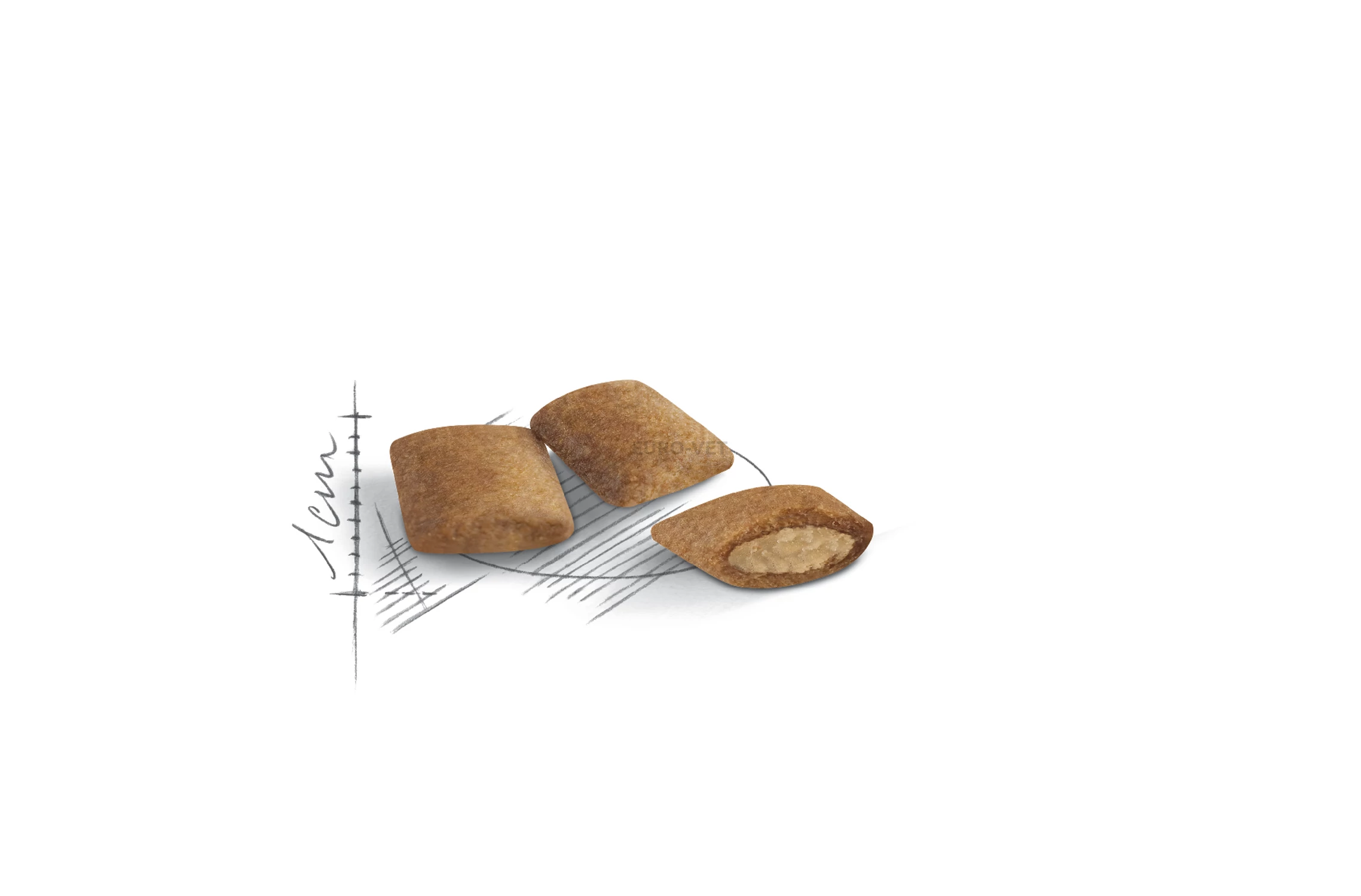 Royal canin ageing cheap